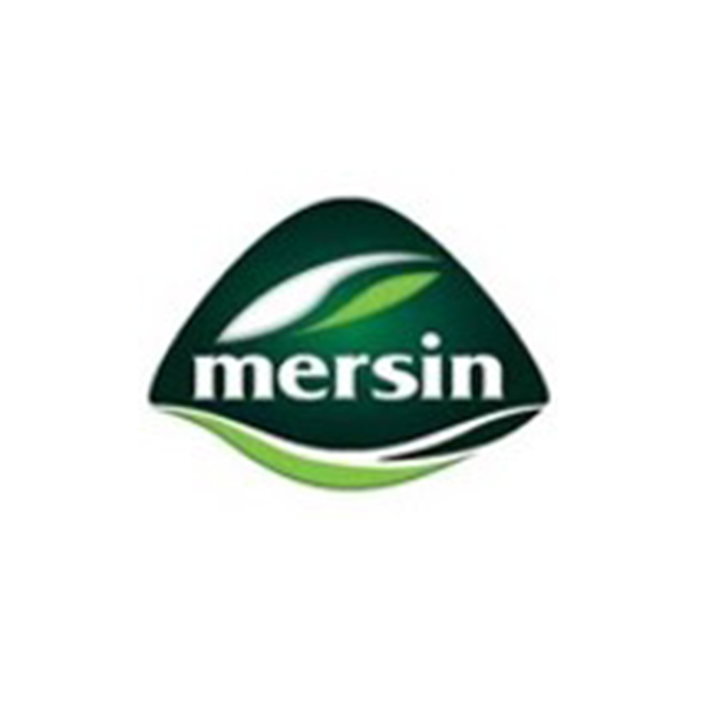 Mersin Abkhazian Cheese – Plain – 250 g × 12 pcs