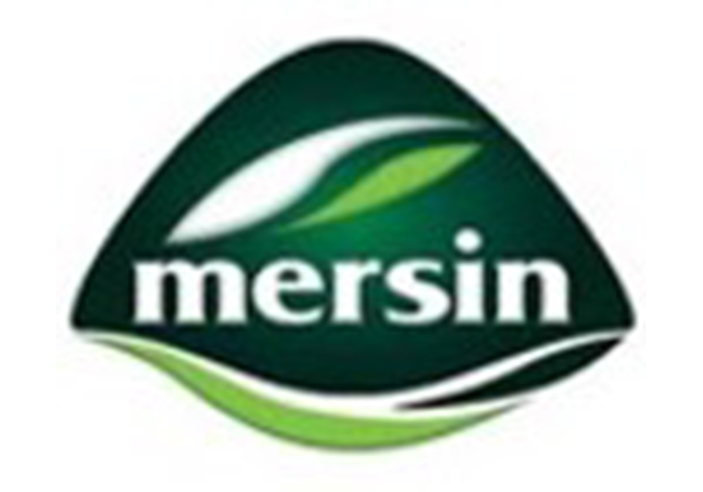 Creamy Cheddar × 18 pcs